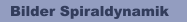 Bilder Spiraldynamik